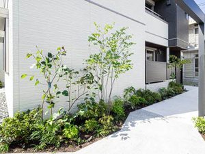 庭