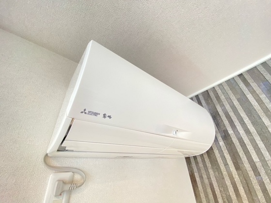 カモミールSのその他写真
