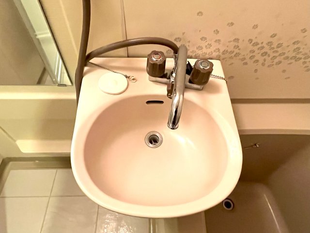 洗面設備　※別のお部屋の写真になります。 参考にしていただければと思い