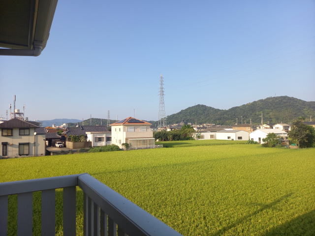 眺望