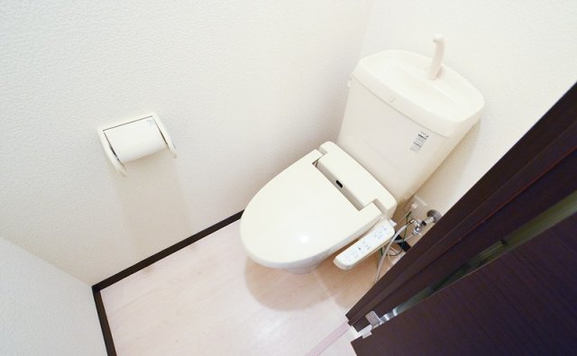 トイレ　同物件、別号室のものです。