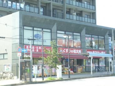 ドラックストア　くすりの福太郎北柏店（ドラッグストア）まで87m