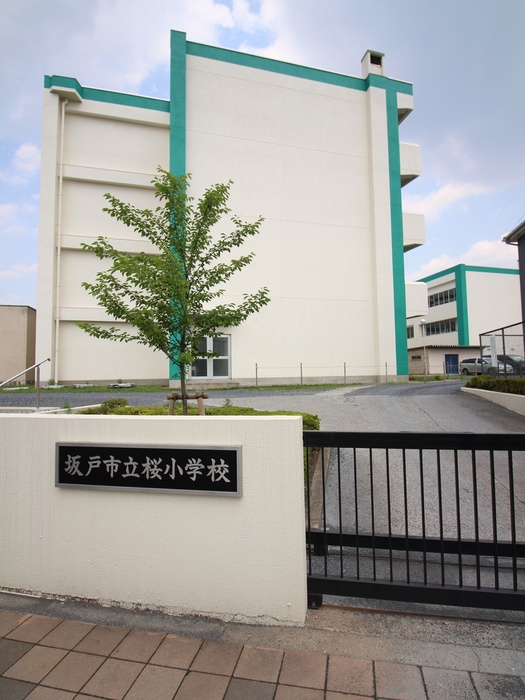 小学校　桜小学校（小学校）まで1100m