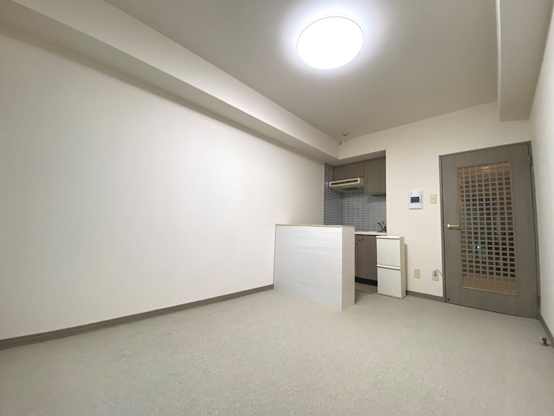 その他　収納カウンターで仕切れば1kに！