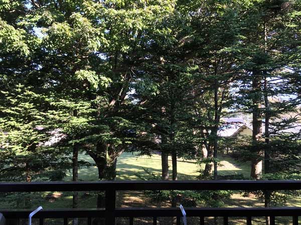 眺望　緑の眺望に癒されます！