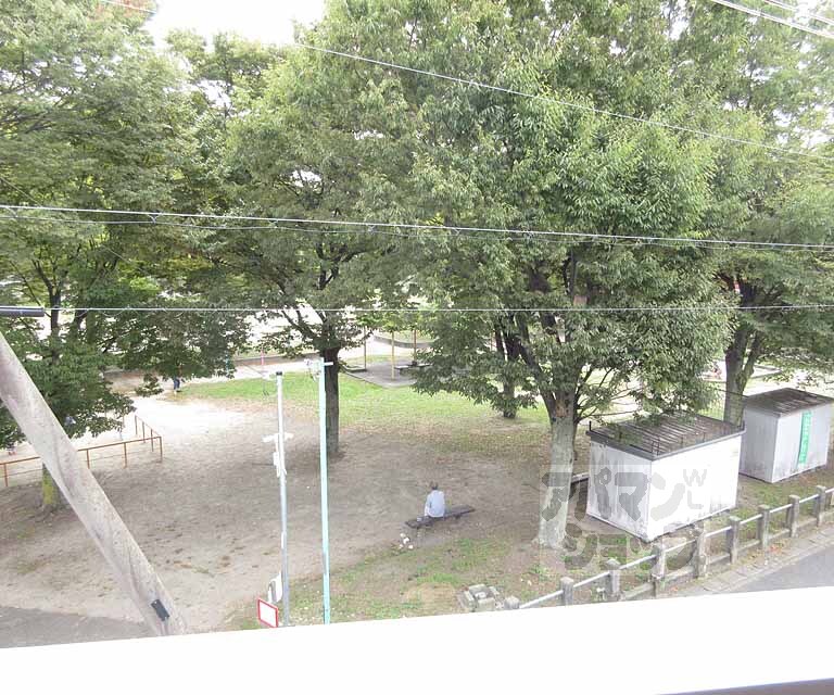 眺望　目の前が公園