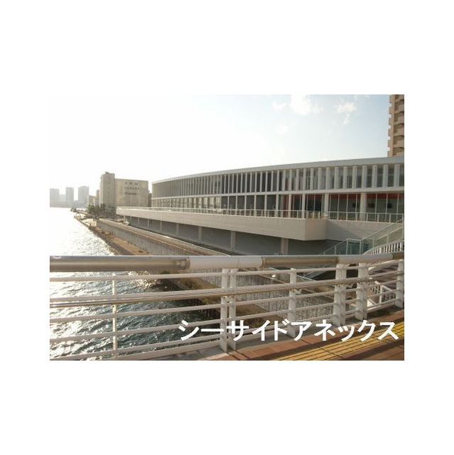 その他　シーサイドアネックス外観（距離１００ｍ）
