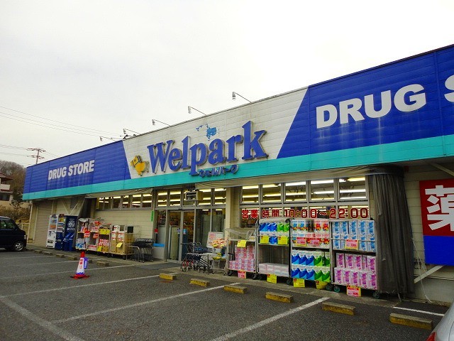 ドラックストア　ウェルパーク　八王子恩方店（ドラッグストア）まで272m