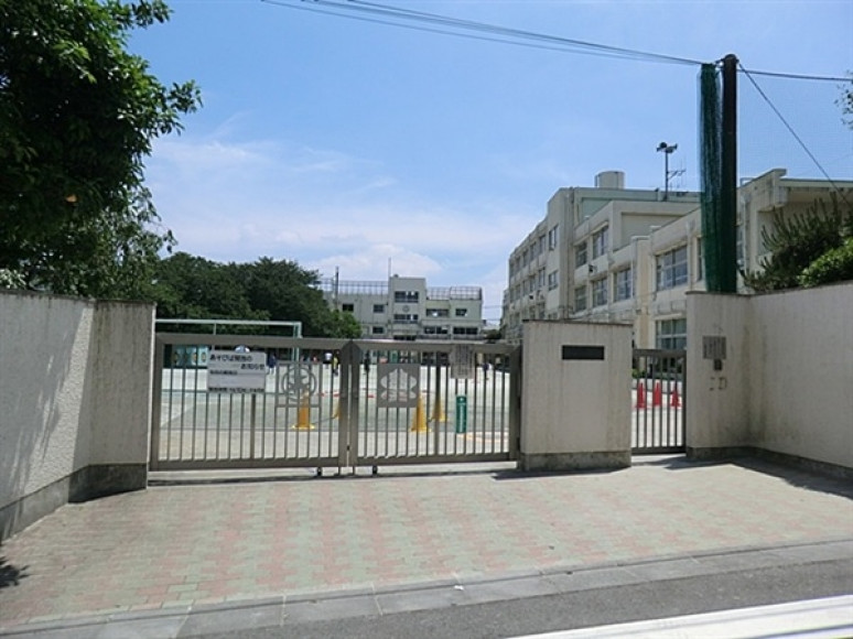 小学校　松原小学校（小学校）まで667m