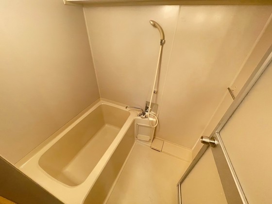 バス・シャワールーム　※別部屋の写真です
