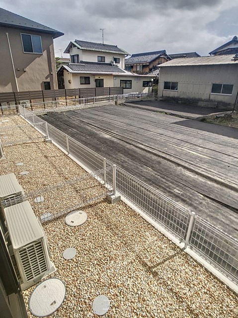 庭