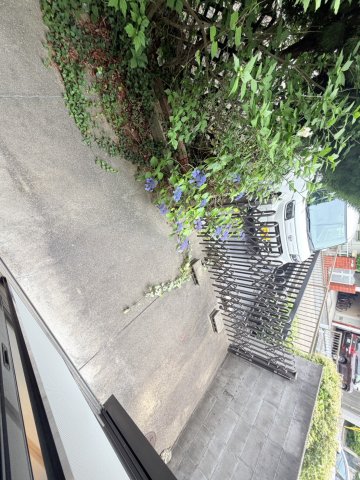 庭