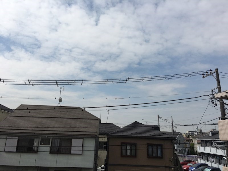 眺望