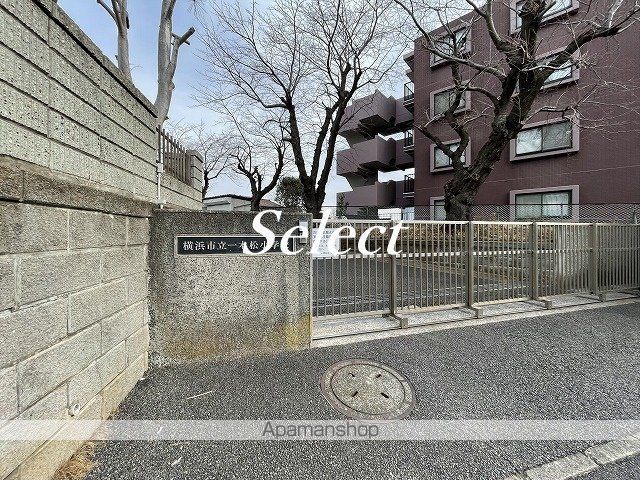 小学校　一本松小学校（小学校）まで428m