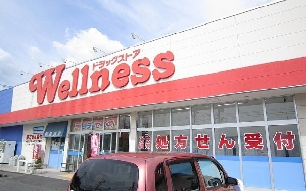 ドラックストア　ウェルネス春日店（ドラッグストア）まで1300m