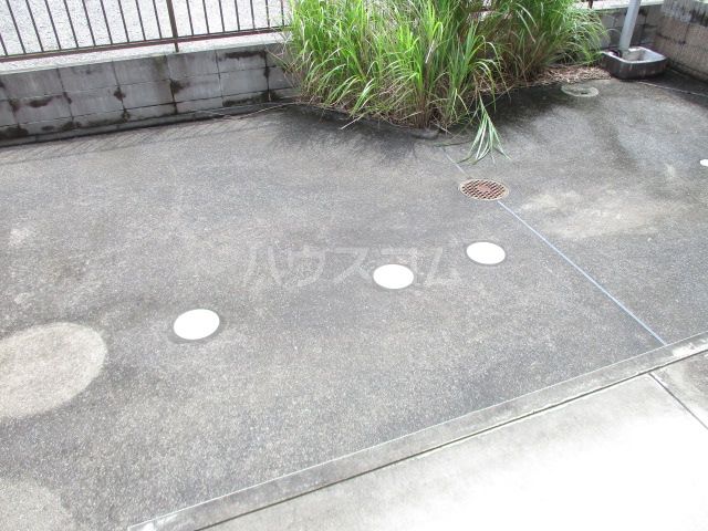 庭