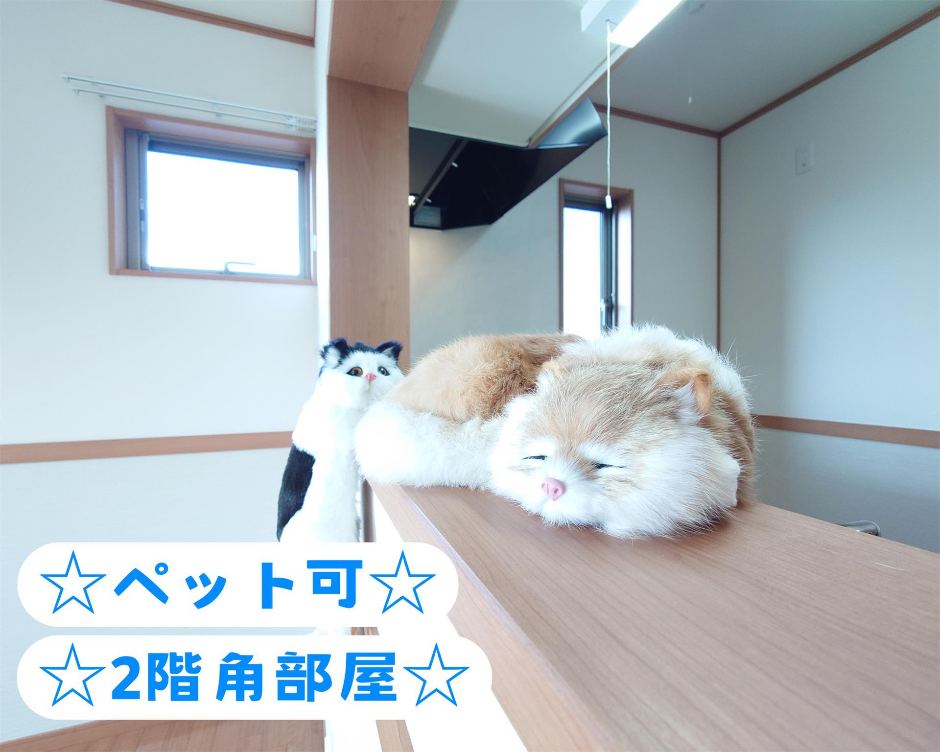 ソラーナ八山田の居間写真