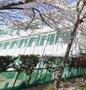 中学校　豊島区立明豊中学校（中学校）まで757m