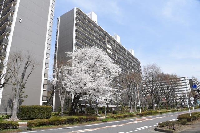 UR所沢パークタウン並木通りの外観写真