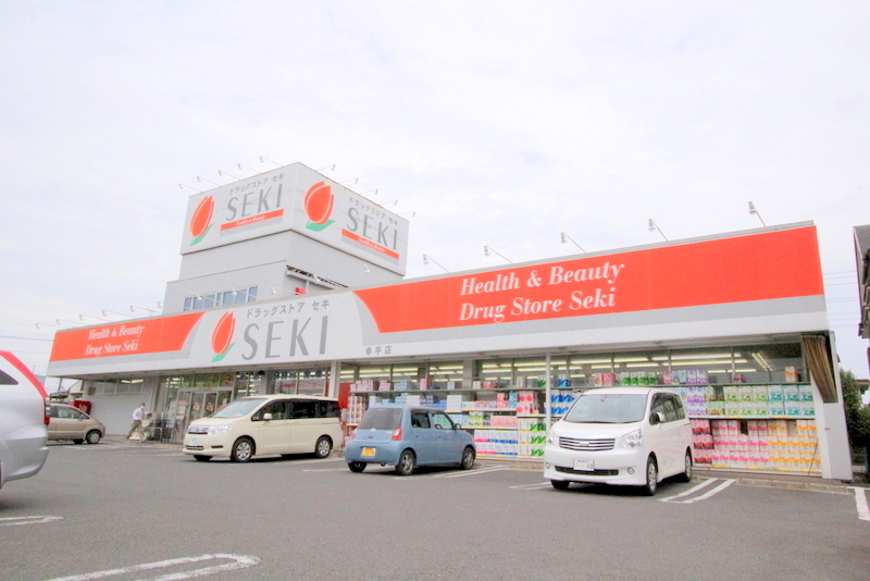 【スカイブルー幸手のドラックストア】