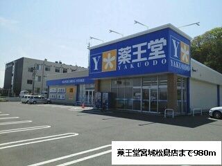 【宮城郡松島町高城のアパートのドラックストア】