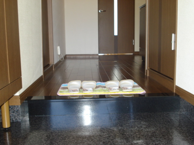 玄関　※同タイプの部屋写真です