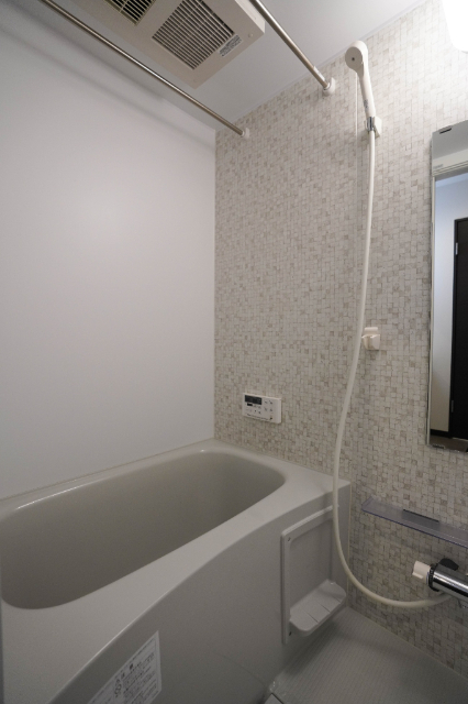 バス・シャワールーム　同じ建物の別なお部屋