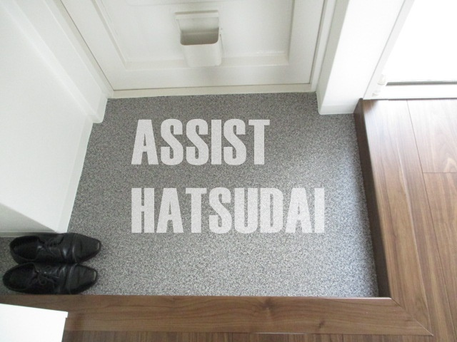 玄関　※他号室の参考写真です。