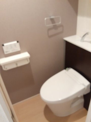 トイレ　トイレも気になるポイント