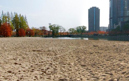 公園　大阪ふれあいの水辺（公園）まで613m