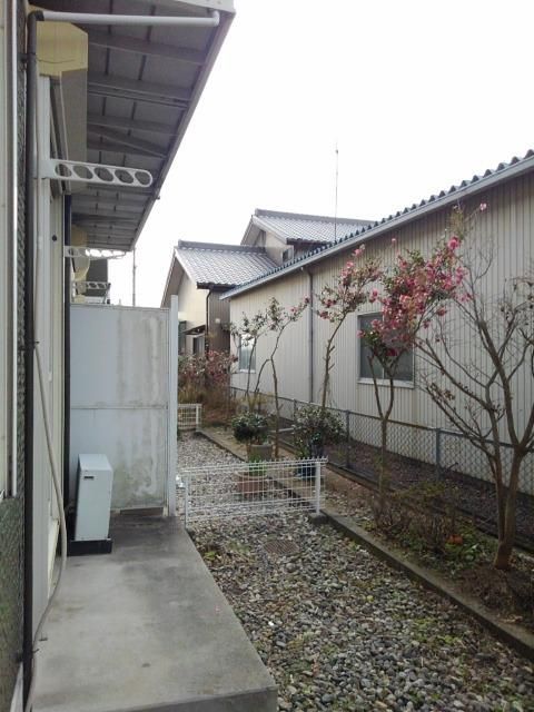 庭