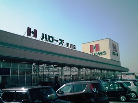 スーパー　ハローズ 新涯店（スーパー）まで611m