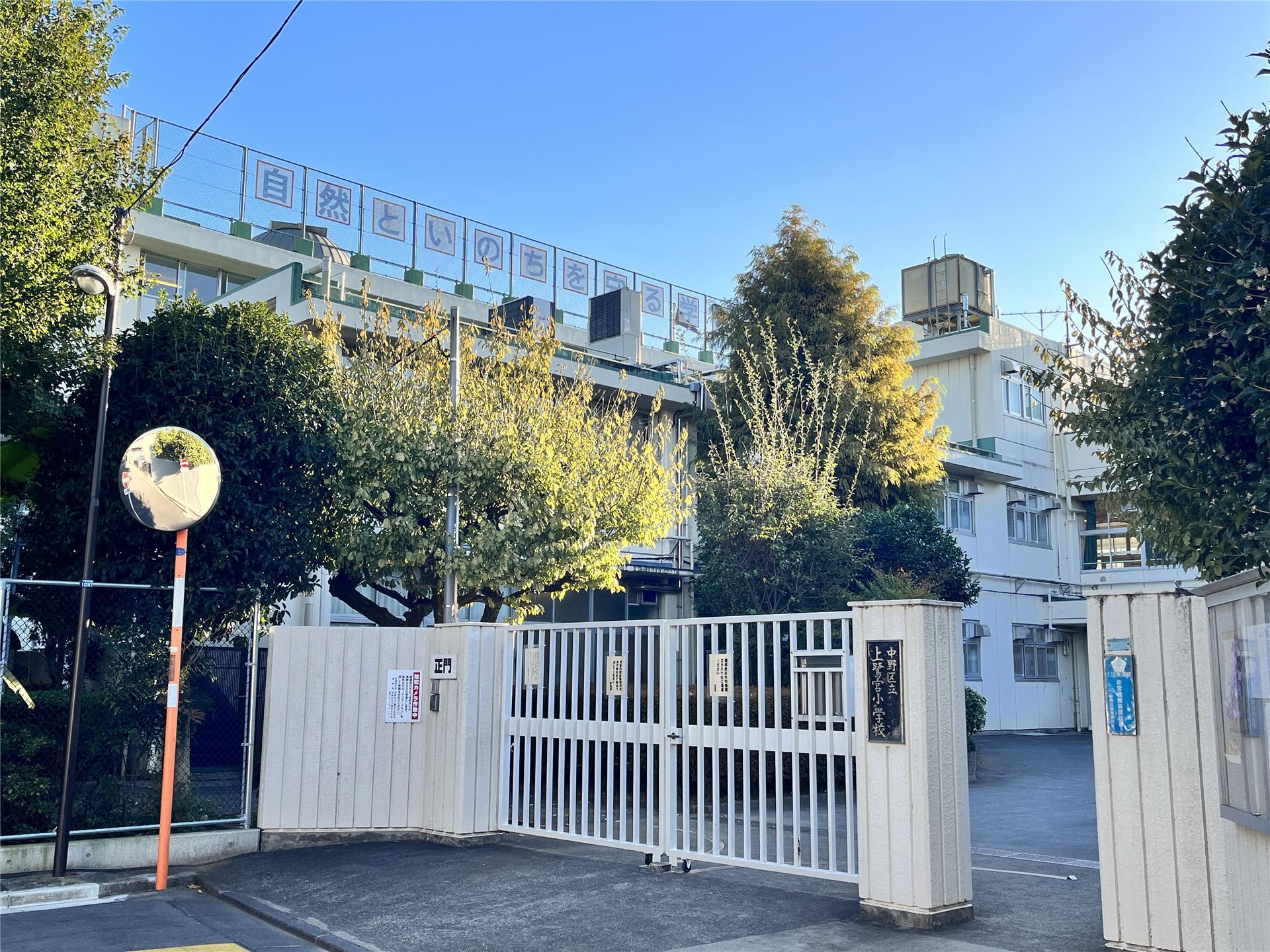 小学校　中野区立上鷺宮小学校（小学校）まで371m