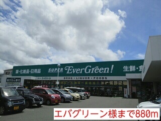 ドラックストア　エバグリーン様（ドラッグストア）まで880m