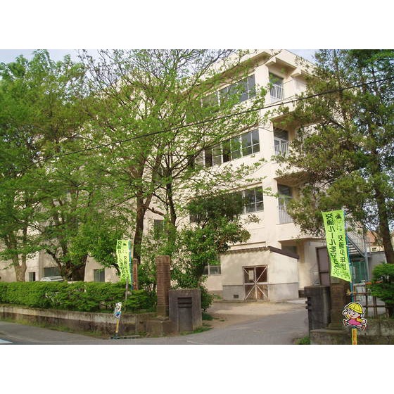 小学校　高岡市立定塚小学校（小学校）まで269m