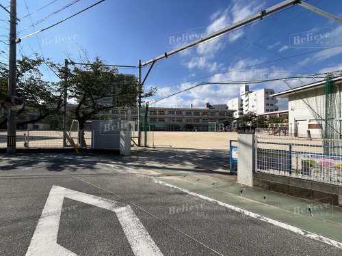 小学校　久留米市立金丸小学校（小学校）まで229m