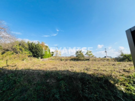 眺望　※同物件別部屋