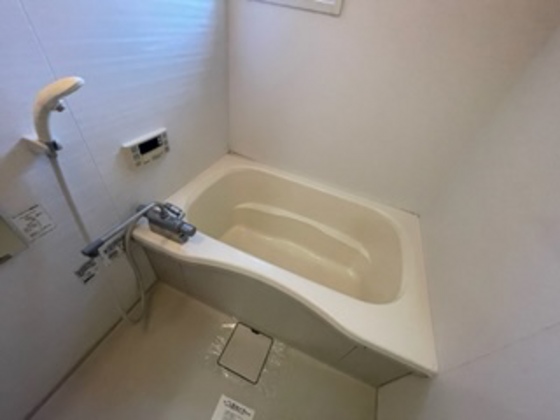 バス・シャワールーム　※別部屋の写真です