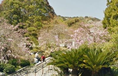 公園　白野江植物公園（公園）まで2700m