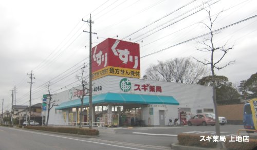 ドラックストア　スギ薬局　上地店（ドラッグストア）まで780m