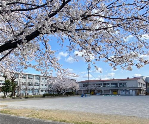 小学校　早田小学校（小学校）まで633m