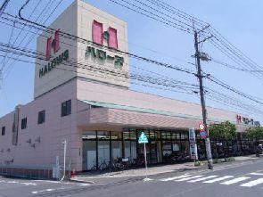 スーパー　ハローズ　山手店（スーパー）まで845m