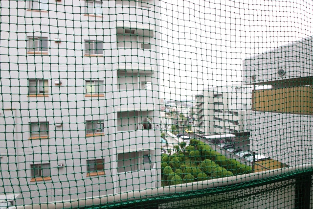 眺望　※別室の参考写真の為、現況優先です。