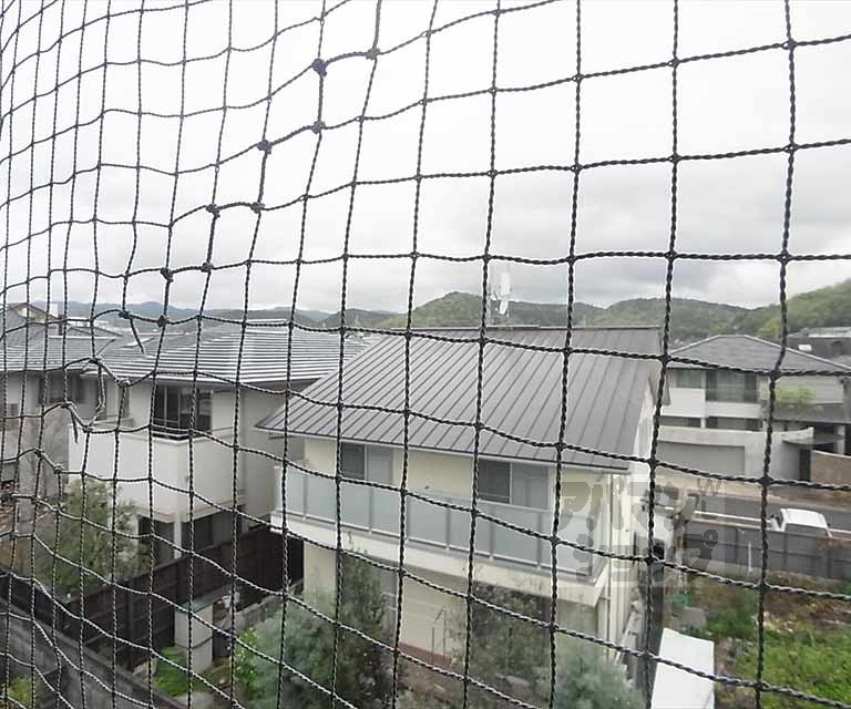 眺望　室外風景