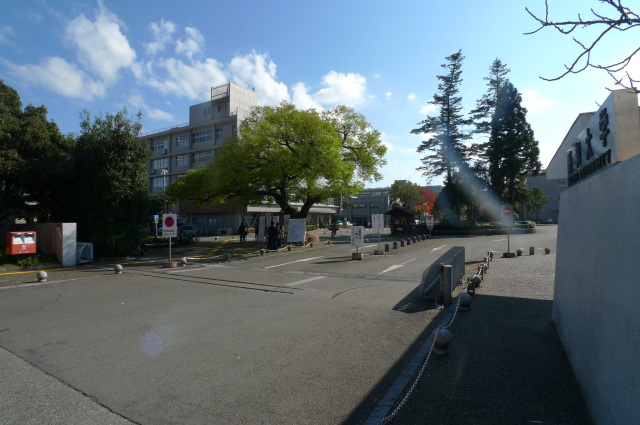 大学・短大　国立高知大学（大学・短大）まで259m