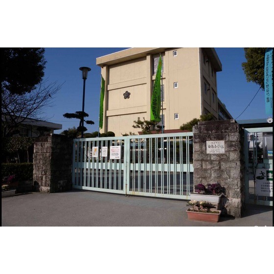 小学校　広島市立白島小学校（小学校）まで467m
