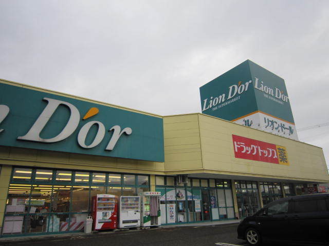スーパー　リオン・ドール加茂店（スーパー）まで728m