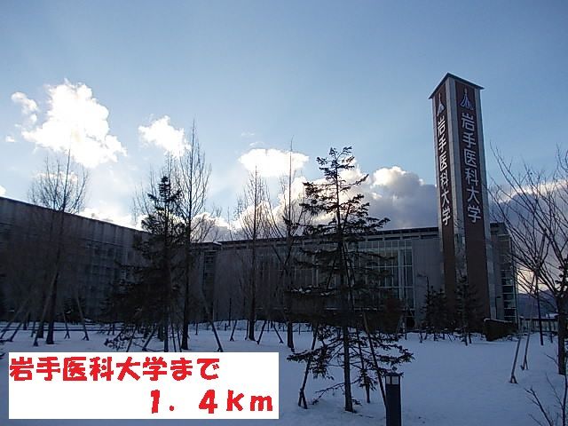 大学・短大　岩手医科大学（大学・短大）まで1400m