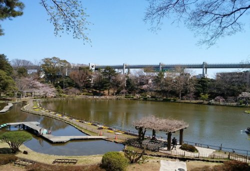 その他　千葉公園（その他）まで883m