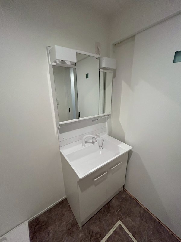 洗面設備　シャワー付き洗面化粧台